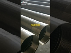 스테인리스 스틸 존슨 윙 와이어 스크린 노즐 사용자 정의